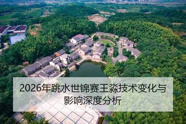 2026年跳水世锦赛王淼技术变化与影响深度分析