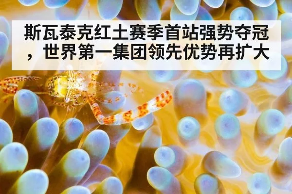 斯瓦泰克红土赛季首站强势夺冠，世界第一集团领先优势再扩大